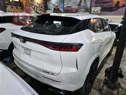 شانجان يوني - Z